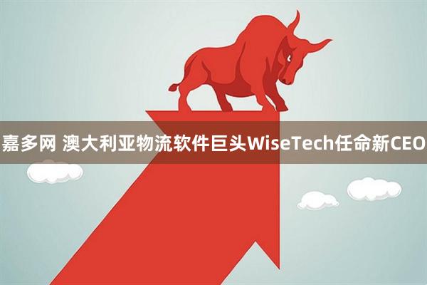 嘉多网 澳大利亚物流软件巨头WiseTech任命新CEO