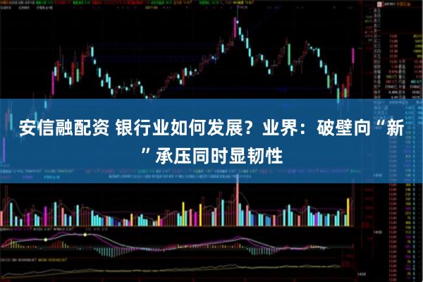 安信融配资 银行业如何发展?业界:破壁向“新”承压同时显韧性