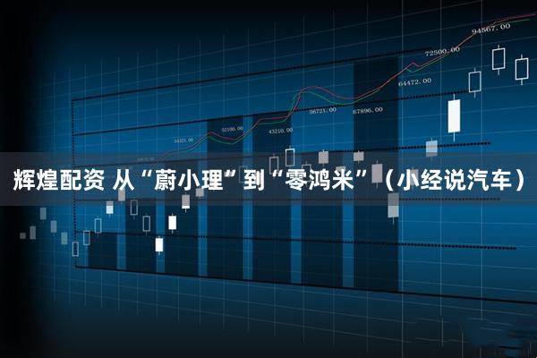 辉煌配资 从“蔚小理”到“零鸿米”（小经说汽车）