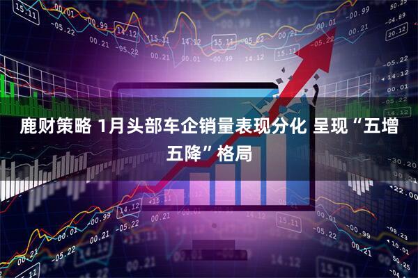 鹿财策略 1月头部车企销量表现分化 呈现“五增五降”格局